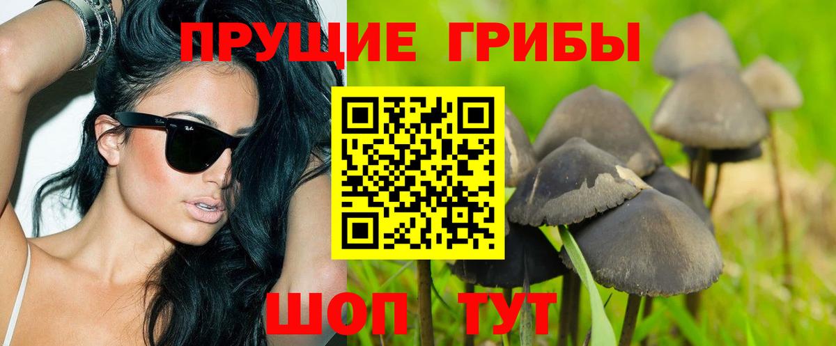 Галлюциногенные грибы прущие грибы  Галлюциногенные грибы Cubensis  Вход с VPN  Городец 