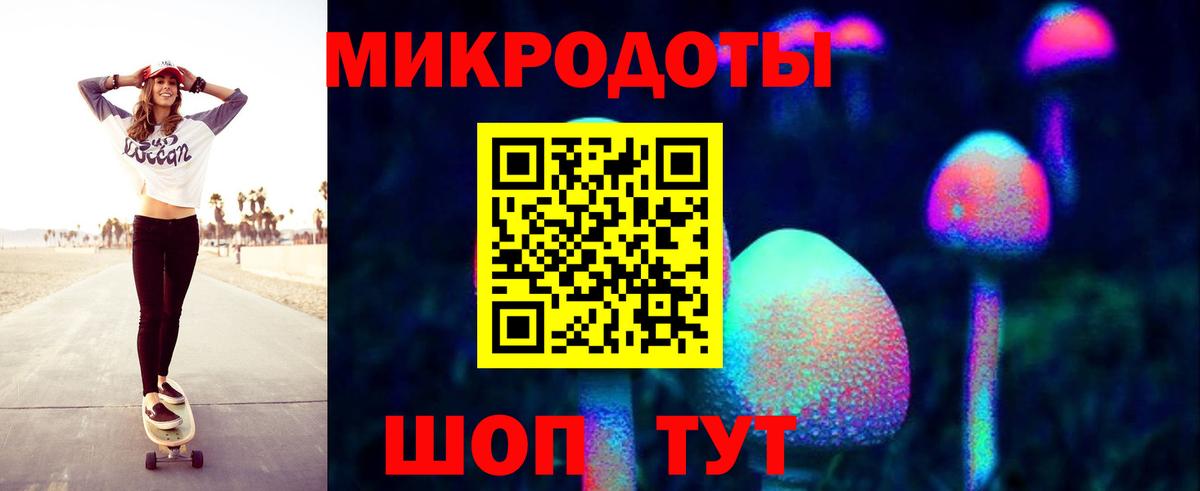 Галлюциногенные грибы Psilocybine cubensis Городец